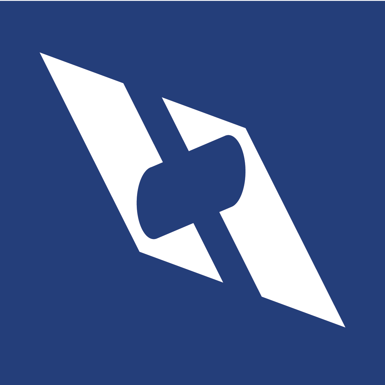 Pacific Dataport Inc.