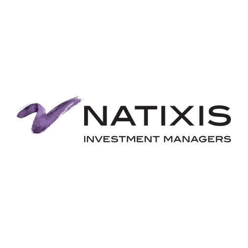 Natixis image logo