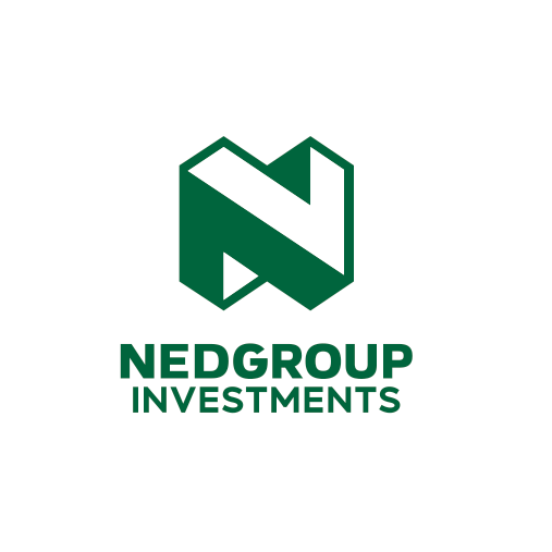 Nedgroup Investments image logo