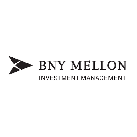 BNY Mellon Investment Management logo