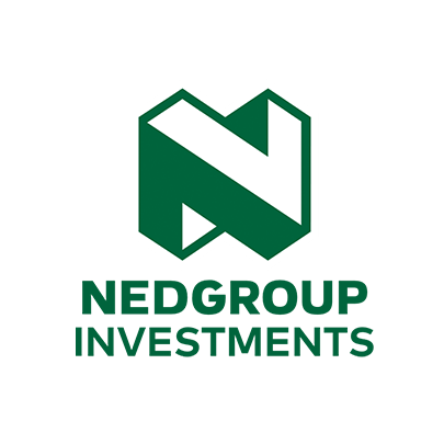 Nedgroup Investments image logo