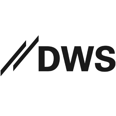 DWS International image logo
